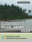 Kecamatan Pinolosian Timur Dalam Angka 2020