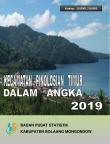 Kecamatan Pinolosian Timur Dalam Angka 2019